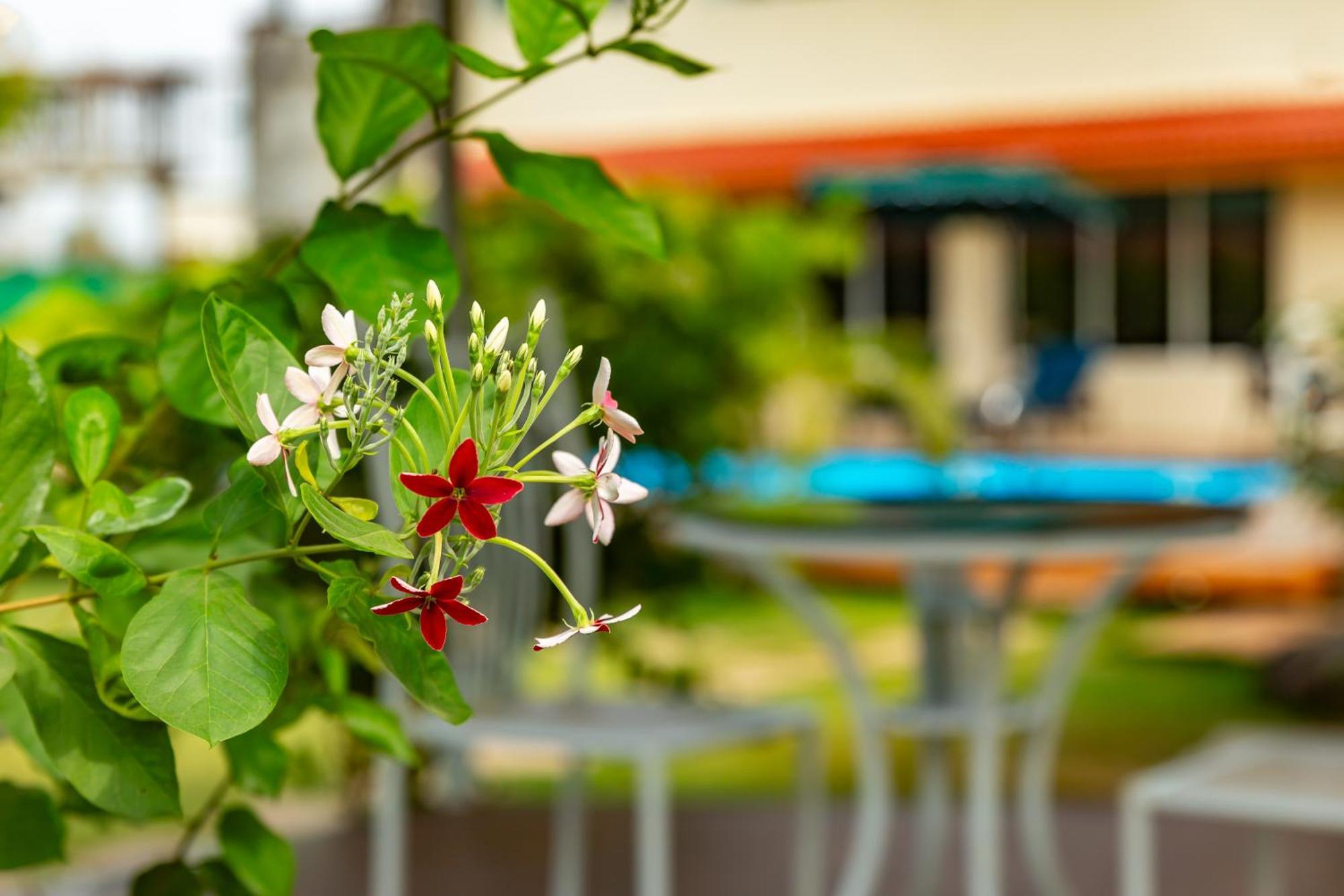 Casa Amora Lonavala Kültér fotó